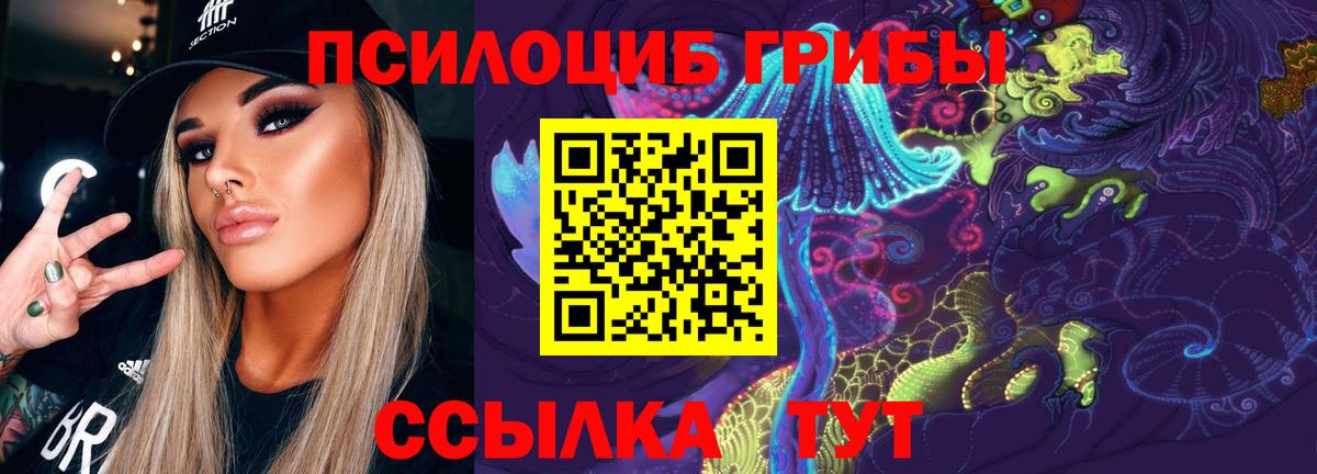 Галлюциногенные грибы Psilocybine cubensis  Вход с VPN  Магадан 