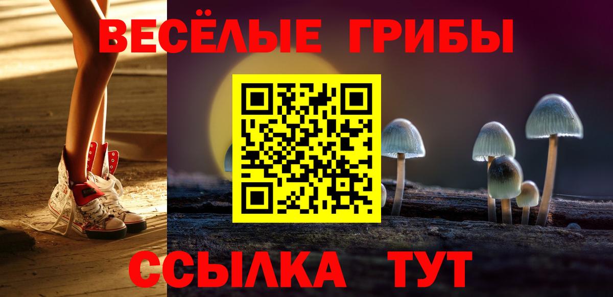 Галлюциногенные грибы мухоморы Магадан